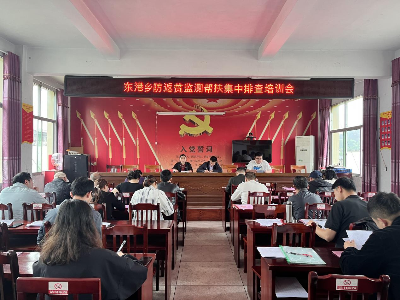 东港乡开展防返贫监测帮扶集中排查培训