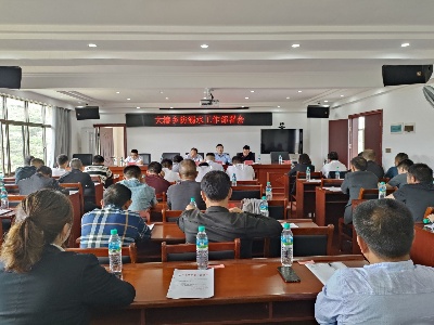 大椿乡：严防溺水，筑牢生命安全防线