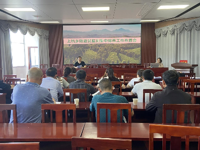 【“三联三共”党建赋能】上杭乡：集中排查再发力，业务培训促提升