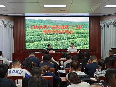 【“三联三共”党建赋能】上杭乡召开茶产业发展暨“三茶”统筹专家培训会