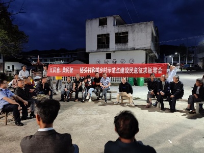 黄龙乡桥头村“”示范村庄建设协商会   