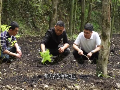 全县优秀村支书邱港生：情系百姓谋发展