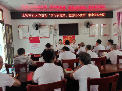 【“三联三共”  党建赋能】太阳升镇积极开展“学习新党章、坚定初心信念”集中学习活动
