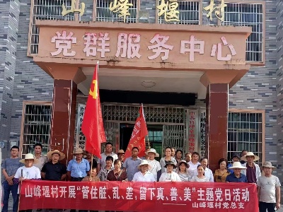 【“三聯三共 ”黨建賦能】竹坪鄉：深化黨建引領、賦能環境整治