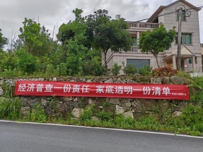 【“三联三共”  党建赋能】黄龙乡“三举措”做好第五次全国经济普查工作    