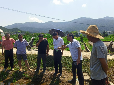 【“三聯三共”黨建賦能】征村鄉：開展水稻病蟲害防治，解決民憂民困