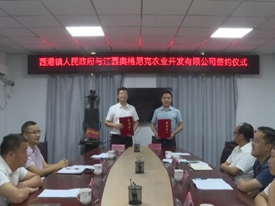 亿元项目落户西港镇