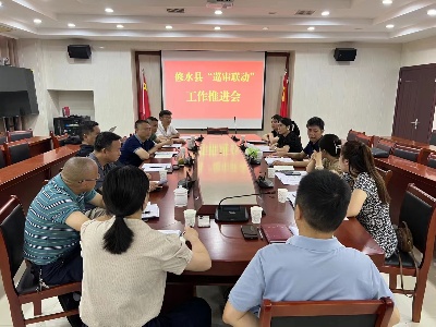 巡審聯動：打好組合拳 成效更彰顯