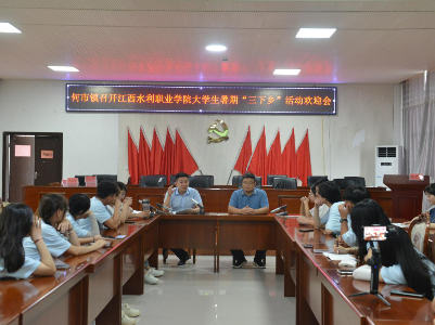 這個盛夏，“何”你有約！何市鎮開展大學生暑期“三下鄉”社會實踐服務活動
