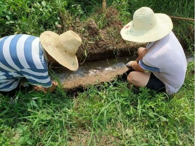 杭口镇茅坪村：干群同心疏水圳   防旱抗旱解民忧