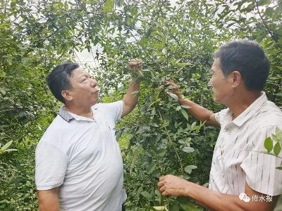 【政协委员风采】周移元：心系“三农”助力乡村振兴