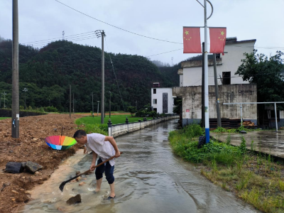 【“三联三共”党建赋能】迅速行动，积极应对，新湾乡全力做好抢险救灾工作