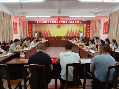 【“三联三共” 党建赋能】黄龙乡扎实推进卫片图斑整改工作