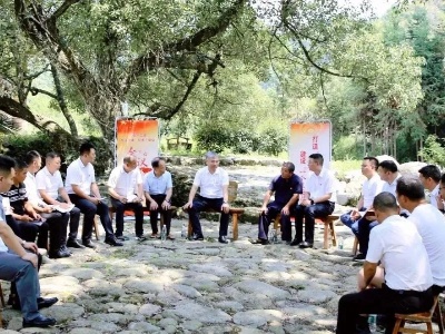 因地制宜，因村施策！修水县领导深入基层考察调研和督导重点项目建设