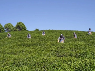 庙岭乡小山口村：用好“三招”为乡村振兴“赋能增效”