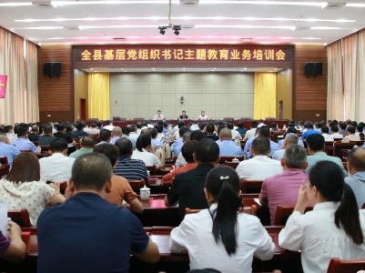 【学思想 强党性 重实践 建新功】全县基层党组织书记主题教育业务培训会召开