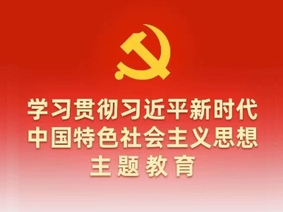 【学习贯彻习近平新时代中国特色社会主义思想主题教育】庙岭乡:落实主题教育要求 为民办实事