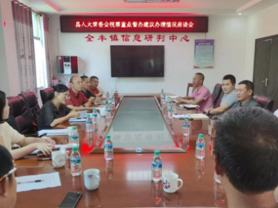 全丰镇人大：人大督办出实效  全丰非遗美名扬