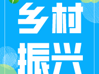 庙岭乡戴家村：猕猴桃喜获丰收