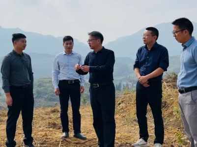 县领导到马坳镇调研