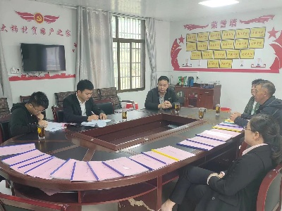 大椿乡：强化督导检查 助力乡村振兴