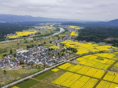 【学思想 强党性 重实践 建新功】晏少兵：锚定“四个打造”感恩奋进 续写全国农业产业示范强镇荣光