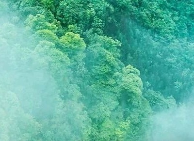叮！十月重要时间节点普法清单请查收！