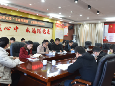 县卫健委：聚焦“四个重点”推动团员和青年主题教育走深走实