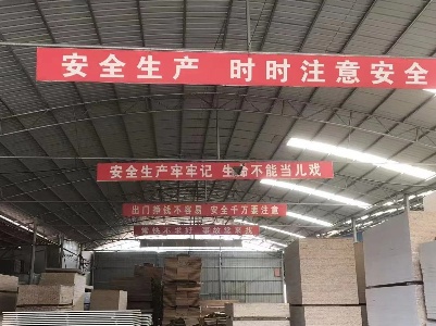 县林业局开展岁末年初安全生产大检查