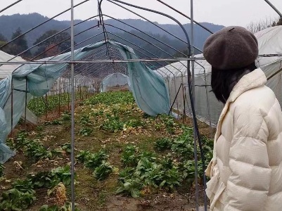 修水县应急管理局开展灾情核查和受灾困难群众走访工作