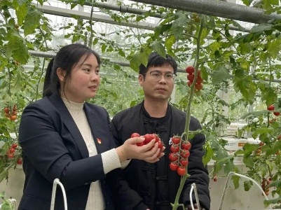火石村做强产业助力乡村振兴