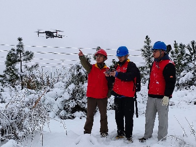 国网修水县供电公司：12个小时浴“雪”奋战 换来万家灯火