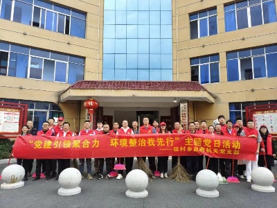 征村乡开展“党建引领聚合力 环境整治我先行”主题党日活动