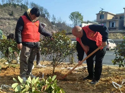 余塅乡开展植树节系列活动