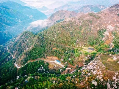追浔季·探花篇丨“樱为爱”第六届中国国际山樱花节（修水•布甲）欢乐跑报名启动！