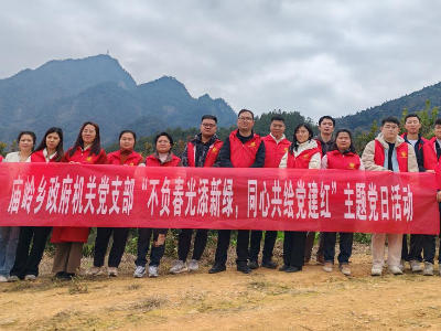 庙岭乡政府机关党支部开展“不负春光添新绿  同心共绘党建红”主题党日活动