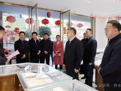 郑庆华调研经济普查工作