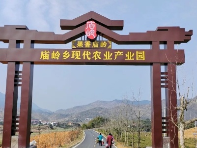 【“三干会”综合考核先进单位风采展】庙岭乡：聚焦重点工作 助力经济增长
