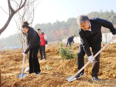 全县领导干部开展义务植树活动