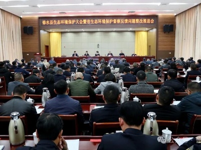全县生态环境保护大会暨省生态环境保护督察反馈问题整改推进会召开