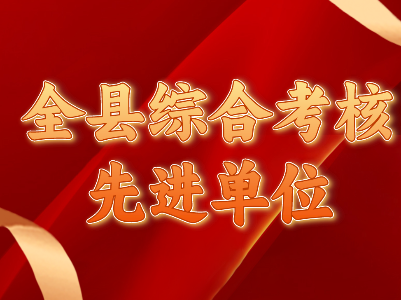 【全县综合考核先进单位】杭口镇：潮平岸阔帆正劲 乘势开拓谱新篇 