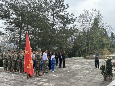 【网络中国节·清明】全丰镇开展清明祭英烈活动