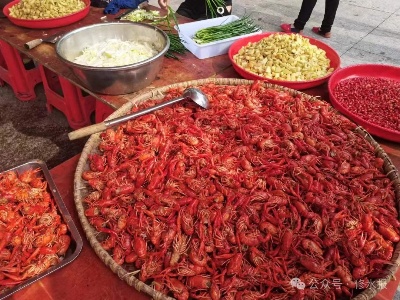 渣津镇第二届龙虾美食节暨“赶集日”和“欢乐跑”活动举行