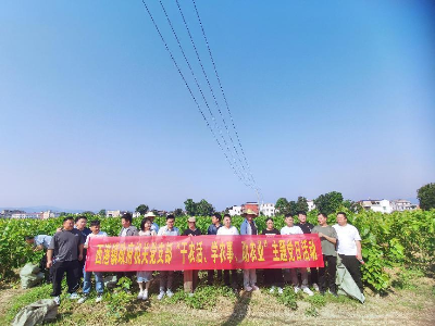 西港镇：“小产业”彰显富民“大成效”