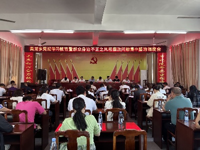 【党纪学习教育】黄龙乡召开党纪学习教育暨群众身边不正之风和腐败问题集中整治调度会