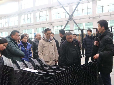 县纪委监委到县工业园区开展主题党日活动
