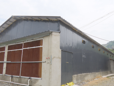 【决胜全面小康 决战脱贫攻坚】横塘镇故里垅村：扶贫鸡场装“空调”