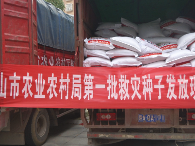 3万斤救灾种子运抵庐山市，助力农户恢复生产