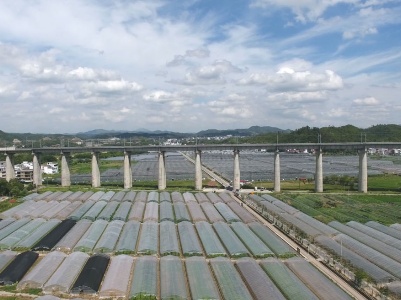 这里贫困户种植的蔬菜走向世界餐桌 