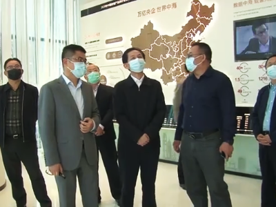 李小平到庐山新城调研